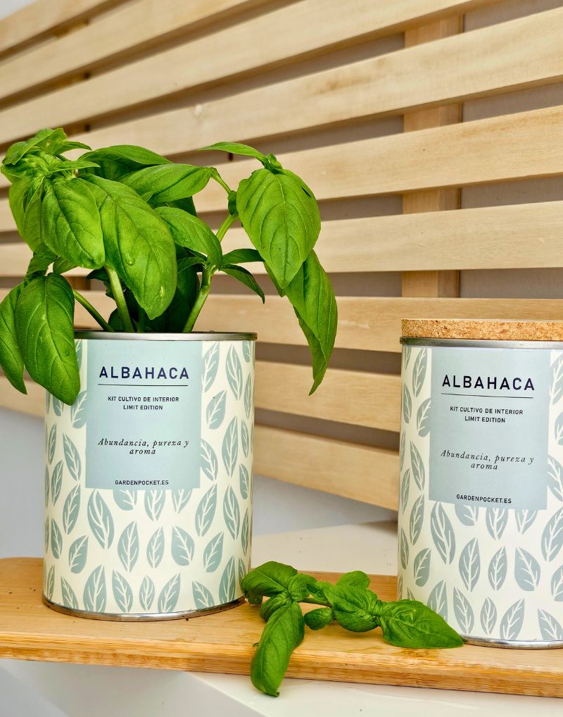Maceta en Lata – Albahaca Les Trouvailles de Tolède