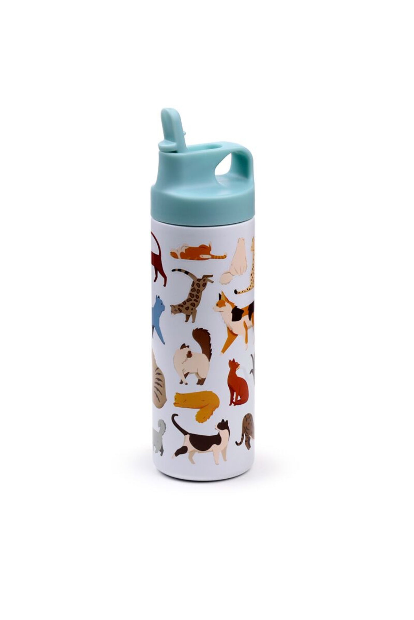 Botella térmica 500 ml – Gatos elegantes