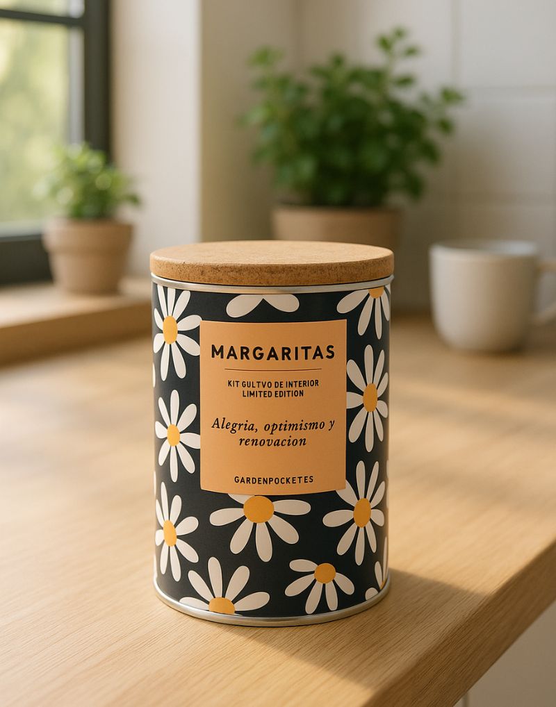 Maceta en Lata – Margaritas Les Trouvailles de Tolède