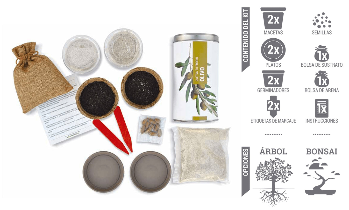 Cultiva tu propio OLIVO Les Trouvailles de Tolède