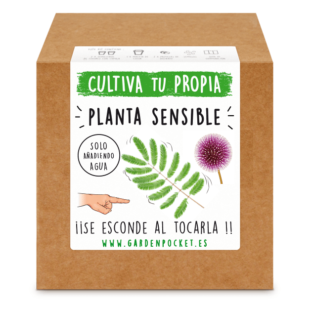 Kits de cultivo – Planta sensible Les Trouvailles de Tolède