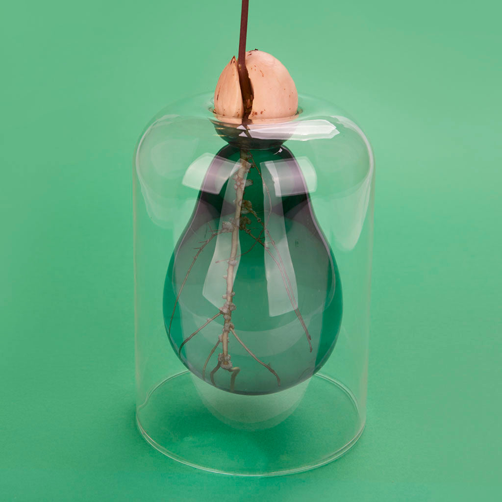 Avocado Vase verde Les Trouvailles de Tolède