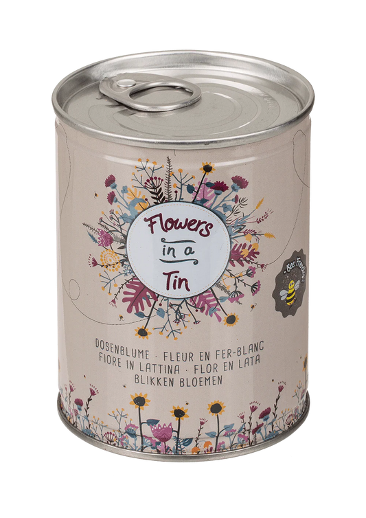 Flor en lata – Pradera de flores para cultivar Les Trouvailles de Tolède