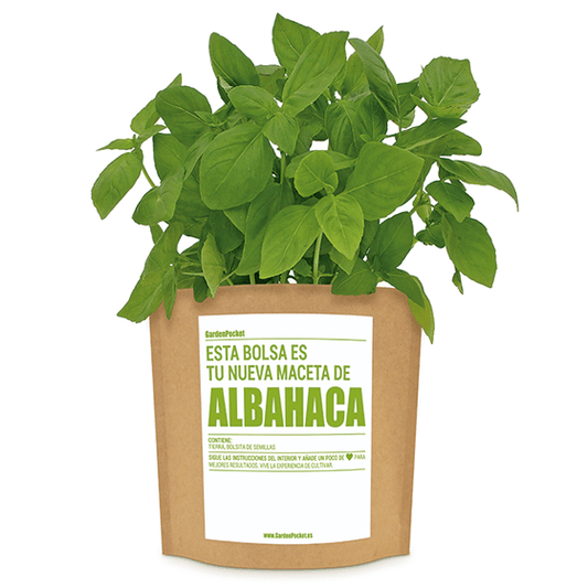 Huerto Pocket Aromáticas – Albahaca Les Trouvailles de Tolède
