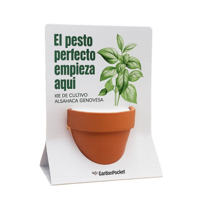 MENSAJE EN TERRACOTA – Albahaca Genovesa Les Trouvailles de Tolède