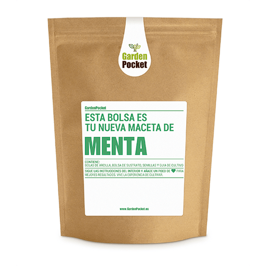 Huerto Pocket Aromáticas – Menta