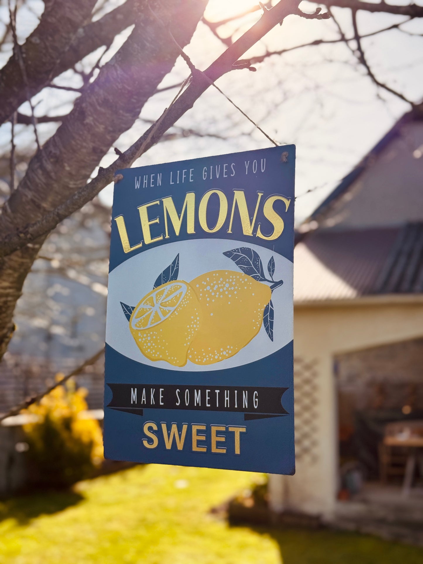 Decoración mural lemons Les Trouvailles de Tolède
