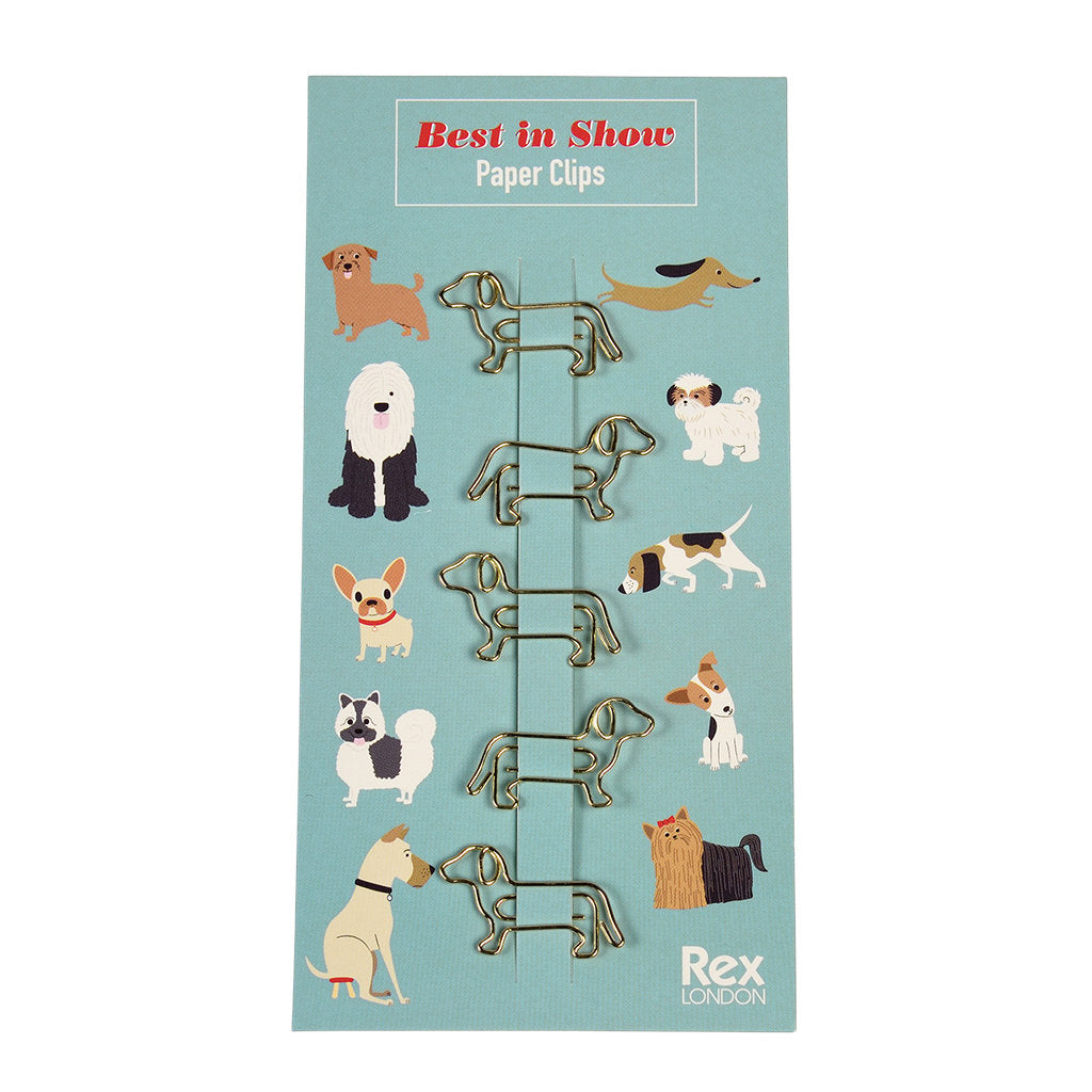 Clips perros Best in Show Les Trouvailles de Tolède
