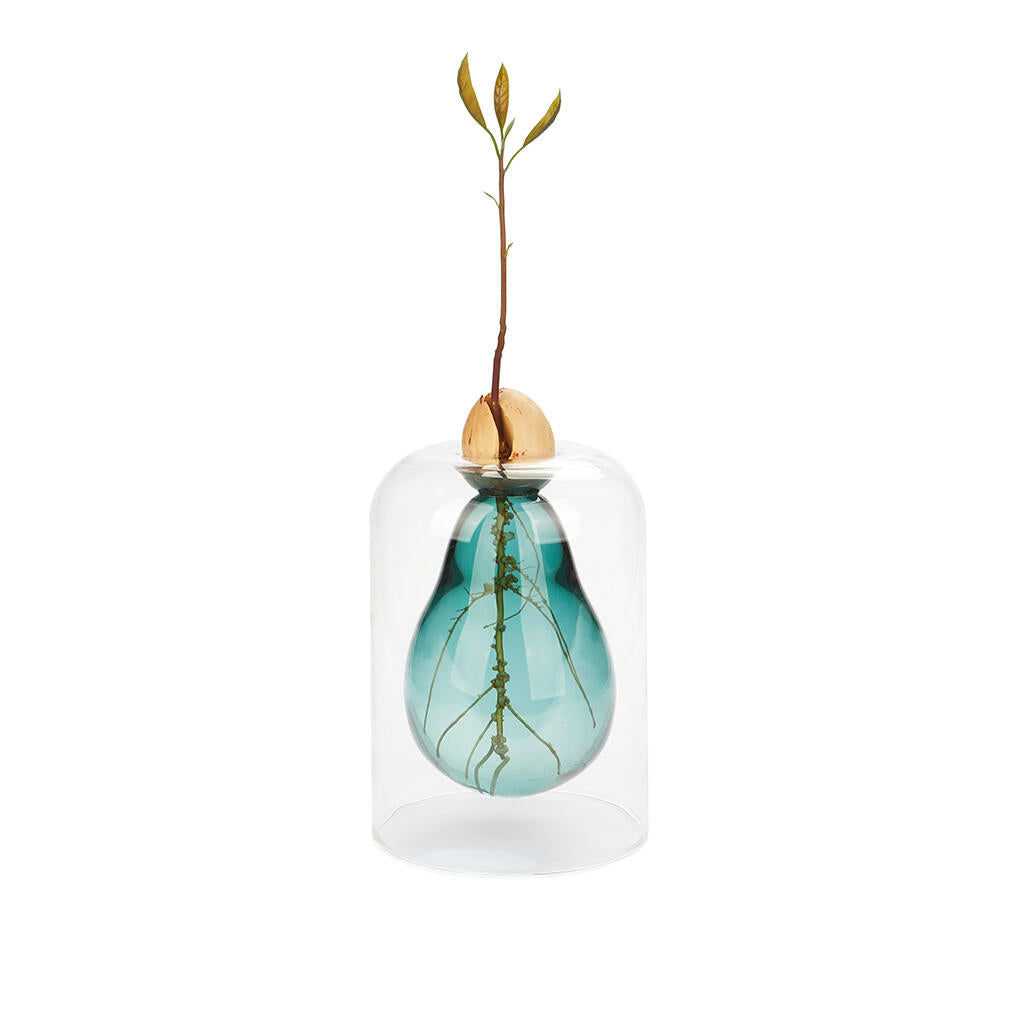 Avocado Vase verde Les Trouvailles de Tolède