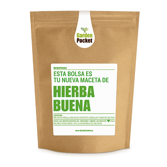 Huerto Pocket Aromáticas – Hierbabuena Les Trouvailles de Tolède