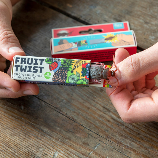 Chicle Trampa con Cucaracha Les Trouvailles de Tolède