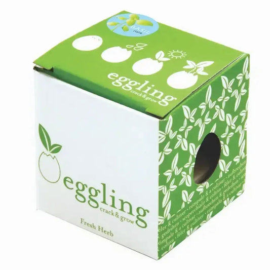 Mini Huevo para Cultivar Albahaca Fresca Les Trouvailles de Tolède