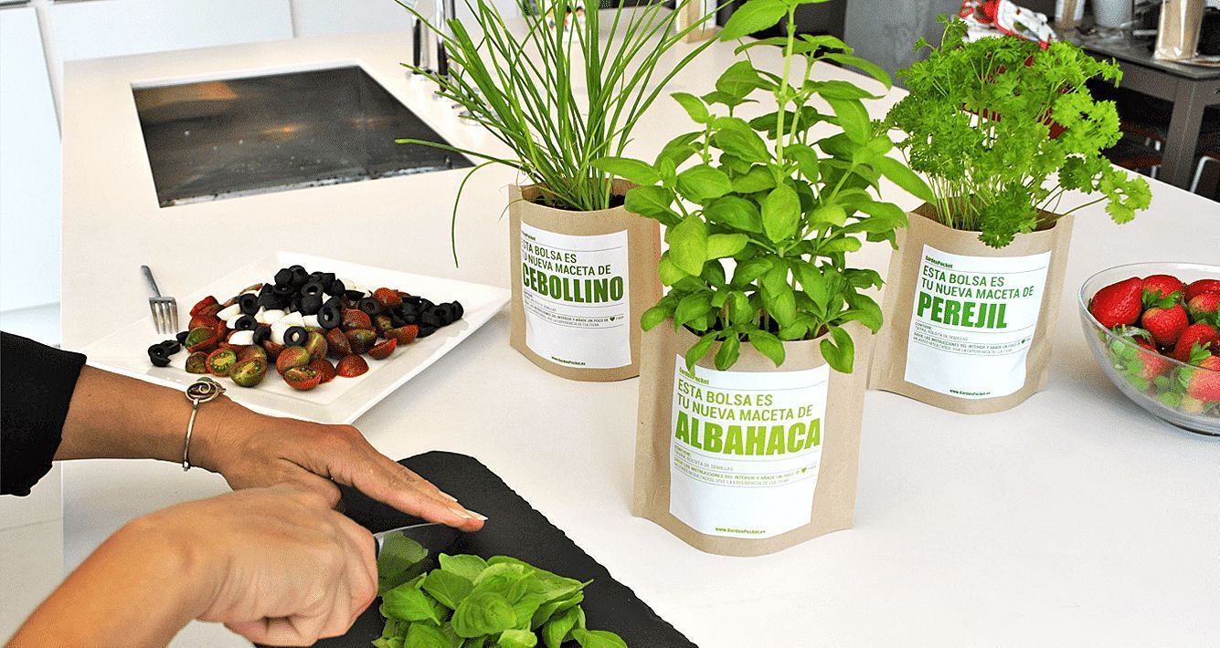 Huerto Pocket Aromáticas – Cebollino