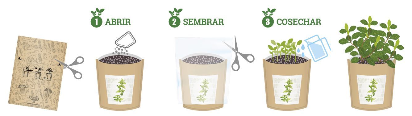 Huerto Pocket Aromatiques – Menthe