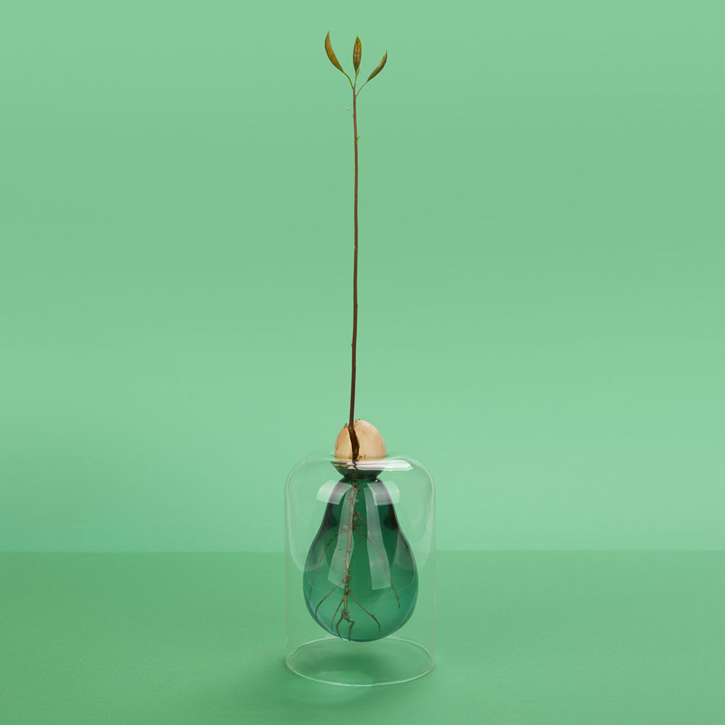 Avocado Vase verde Les Trouvailles de Tolède