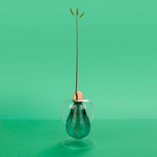Avocado Vase verde Les Trouvailles de Tolède