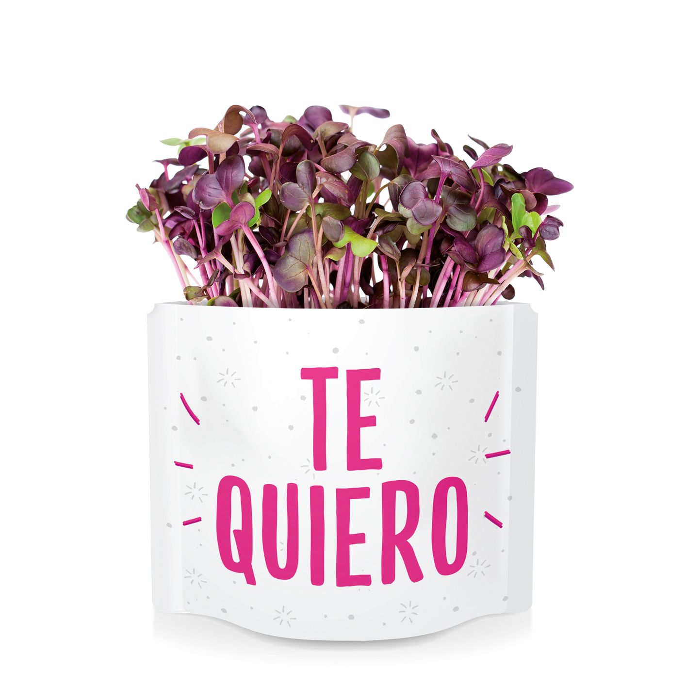 Te Quiero – Carte Végétale à Cultiver