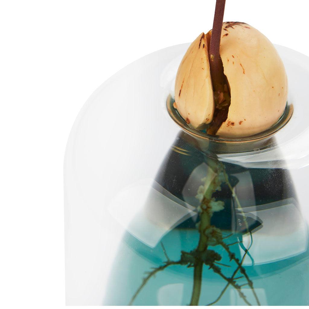 Avocado Vase verde Les Trouvailles de Tolède