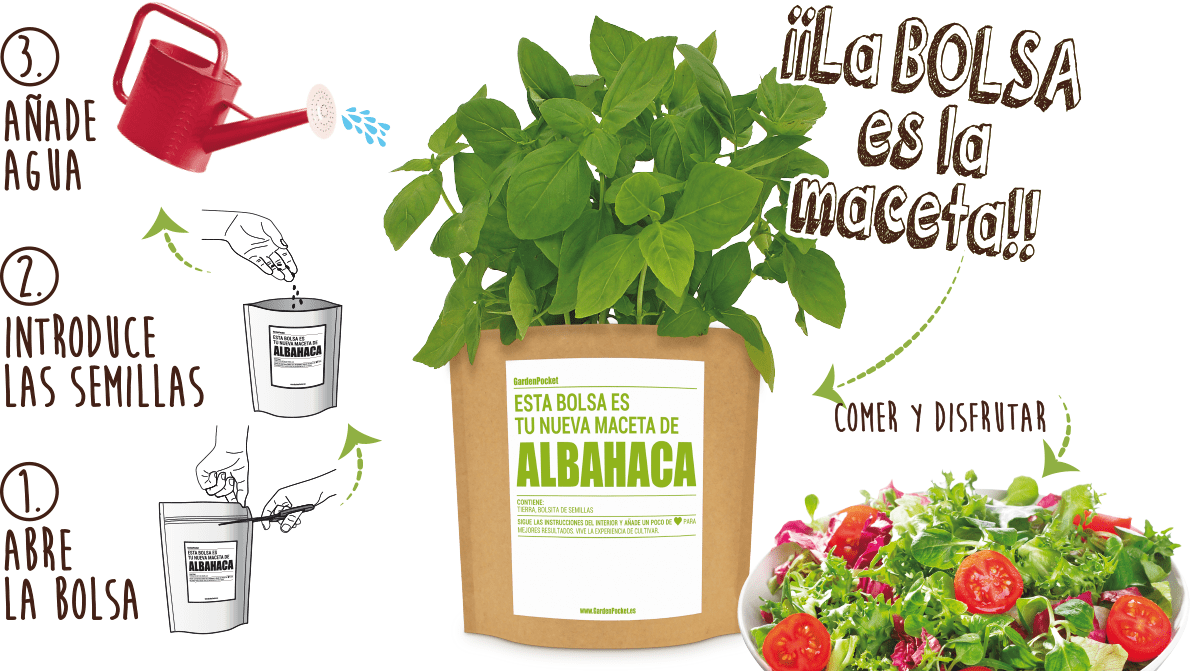 Huerto Pocket Aromatiques – Menthe