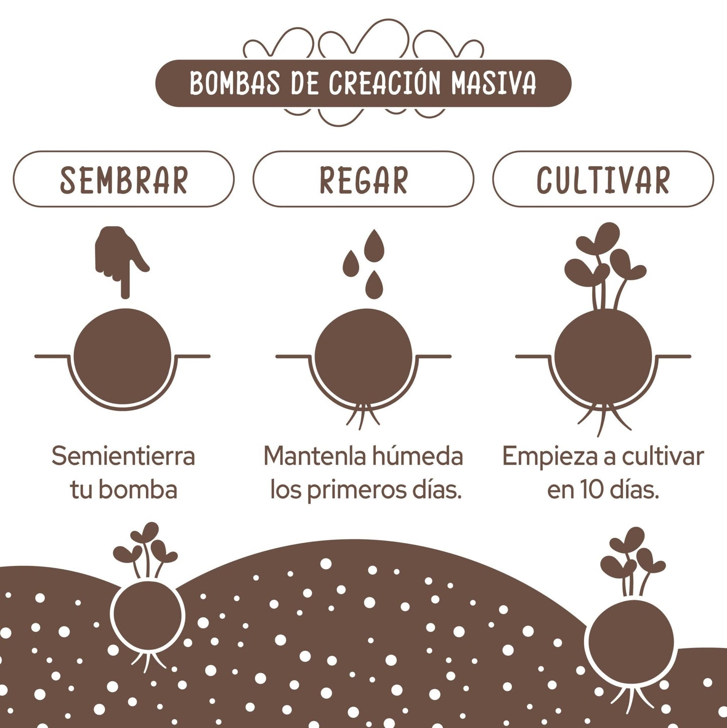 Bombas de Semillas – Plantas Aromáticas Les Trouvailles de Tolède