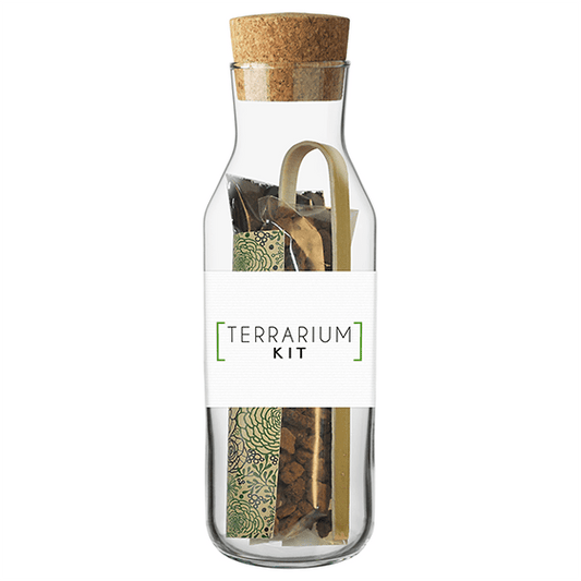 Kit TERRARIUM Vertical Les Trouvailles de Tolède