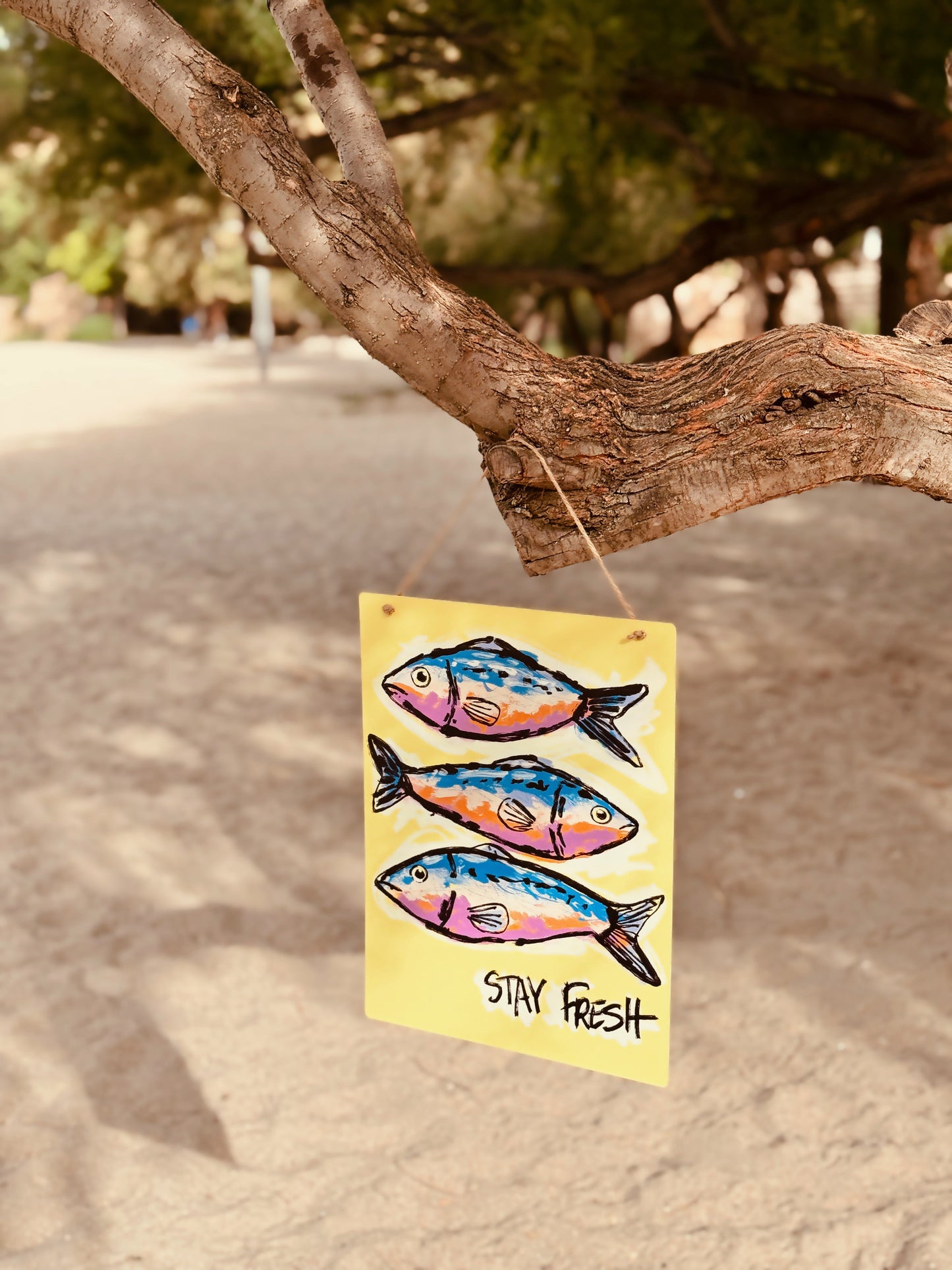Placa mural metálica Sardinas en lata 30 x 40 cm Les Trouvailles de Tolède