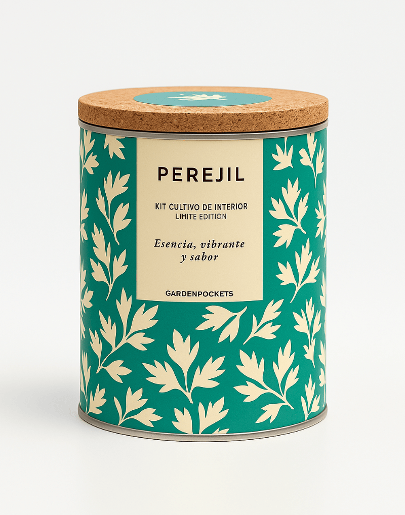 Maceta en Lata – Perejil Les Trouvailles de Tolède