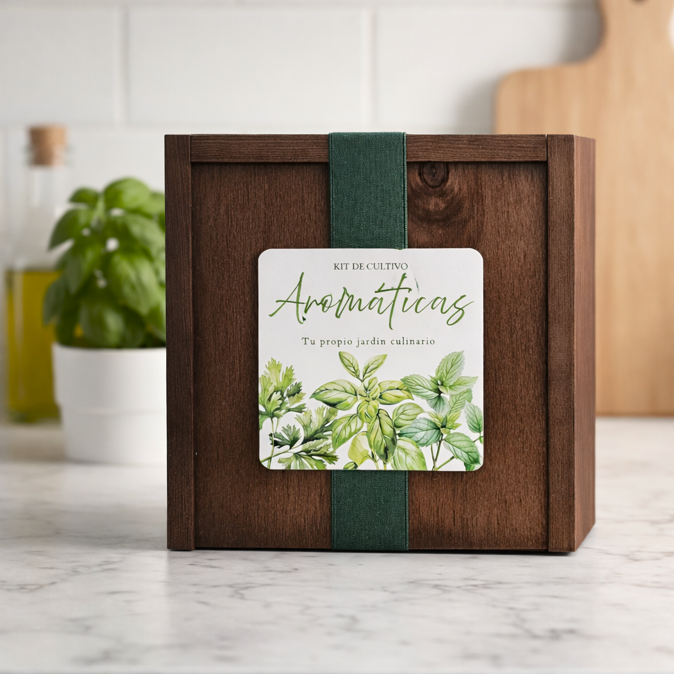 Kit de cultivo aromáticas Les Trouvailles de Tolède