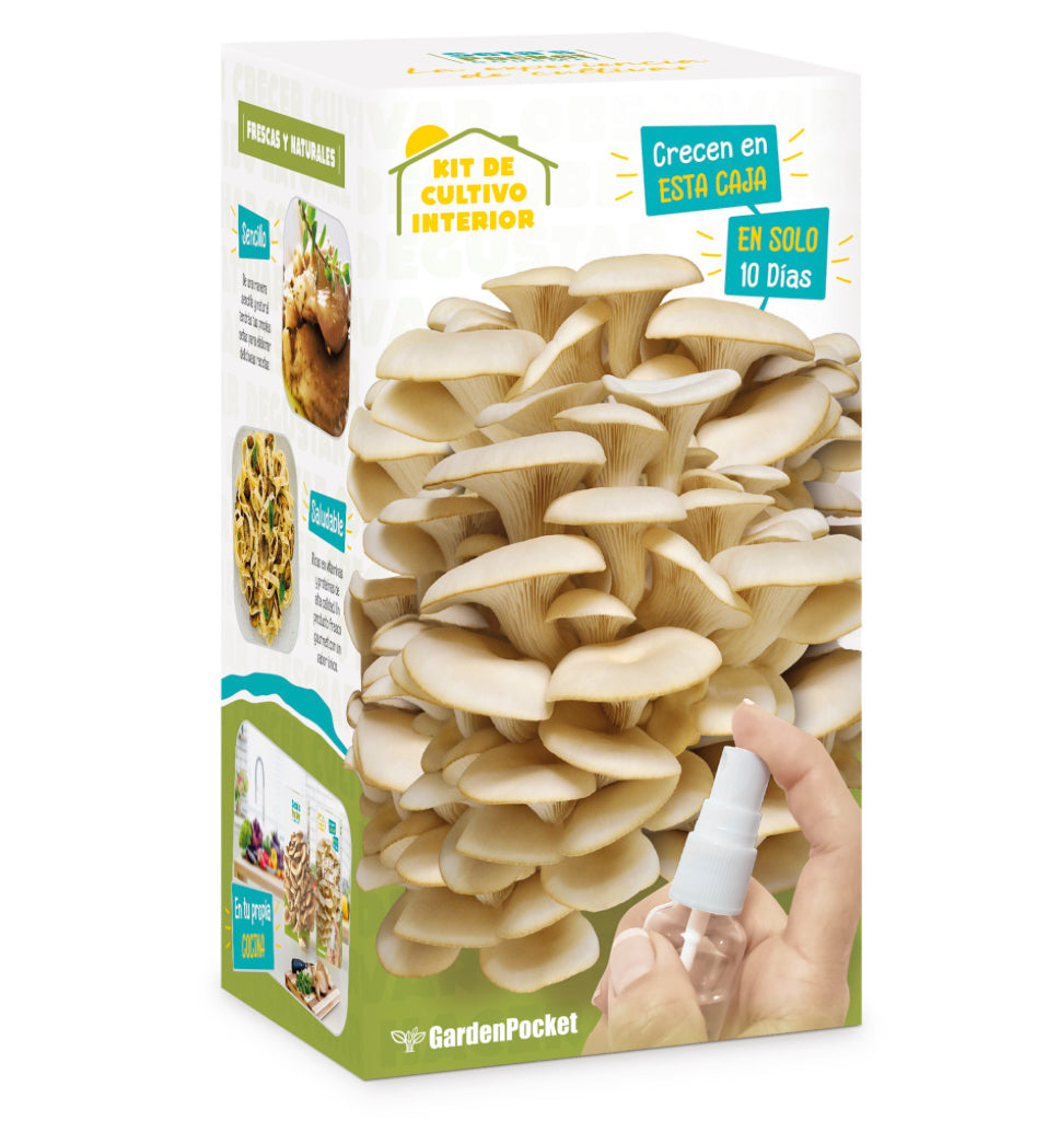 Kit de Cultivo de Setas Gourmet – Setas Pocket Les Trouvailles de Tolède