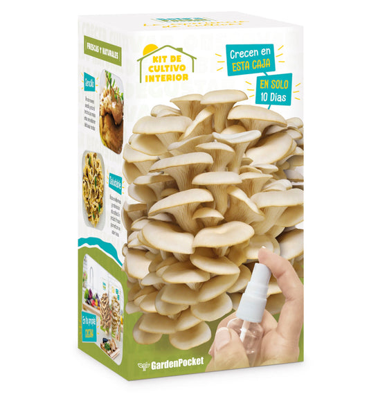 Kit de Cultivo de Setas Gourmet – Setas Pocket Les Trouvailles de Tolède