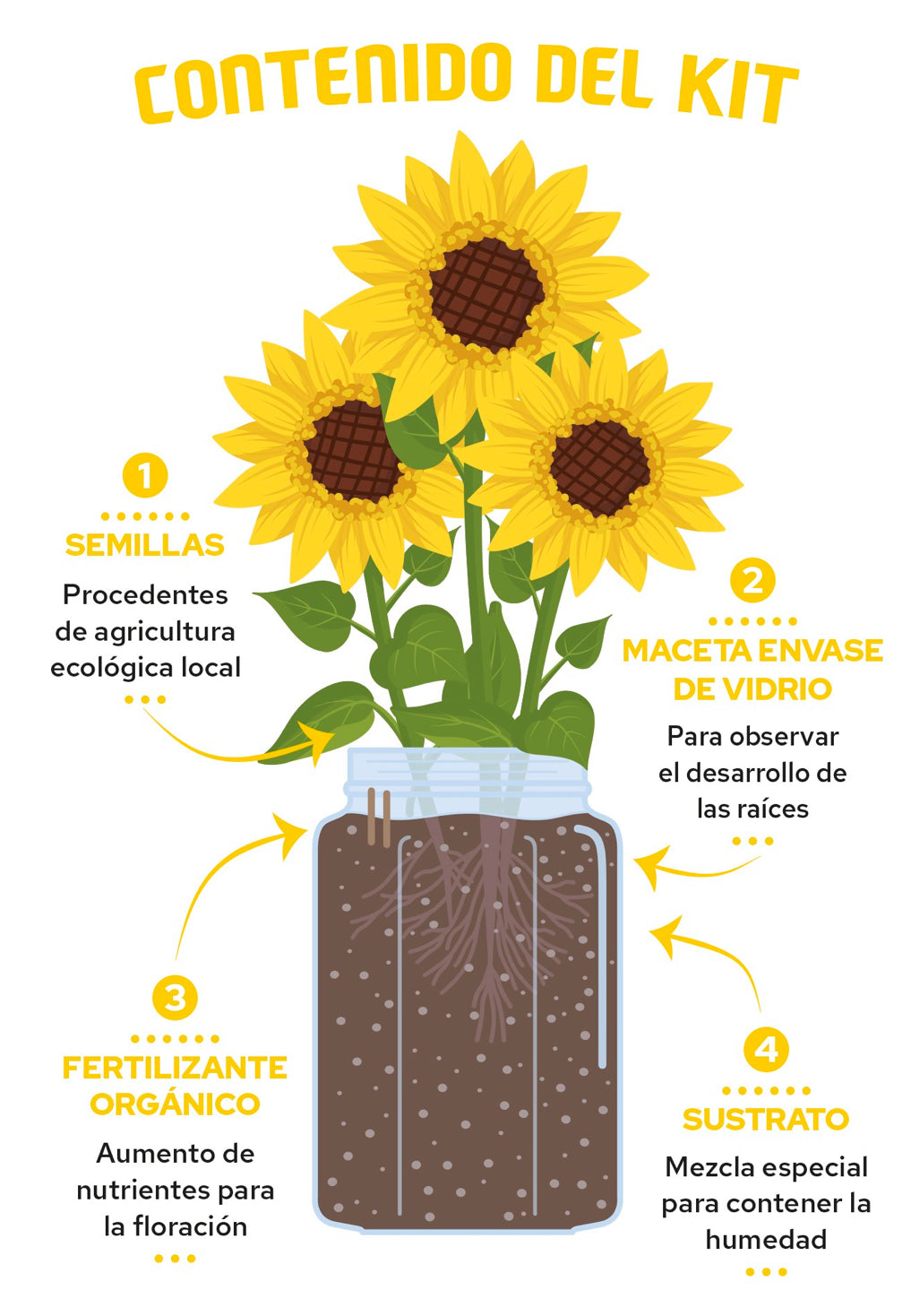 KIT DE CULTIVO INTERIOR GIRASOL Les Trouvailles de Tolède