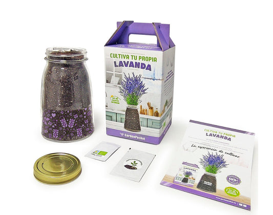 Kit de Cultivo de Lavanda Les Trouvailles de Tolède