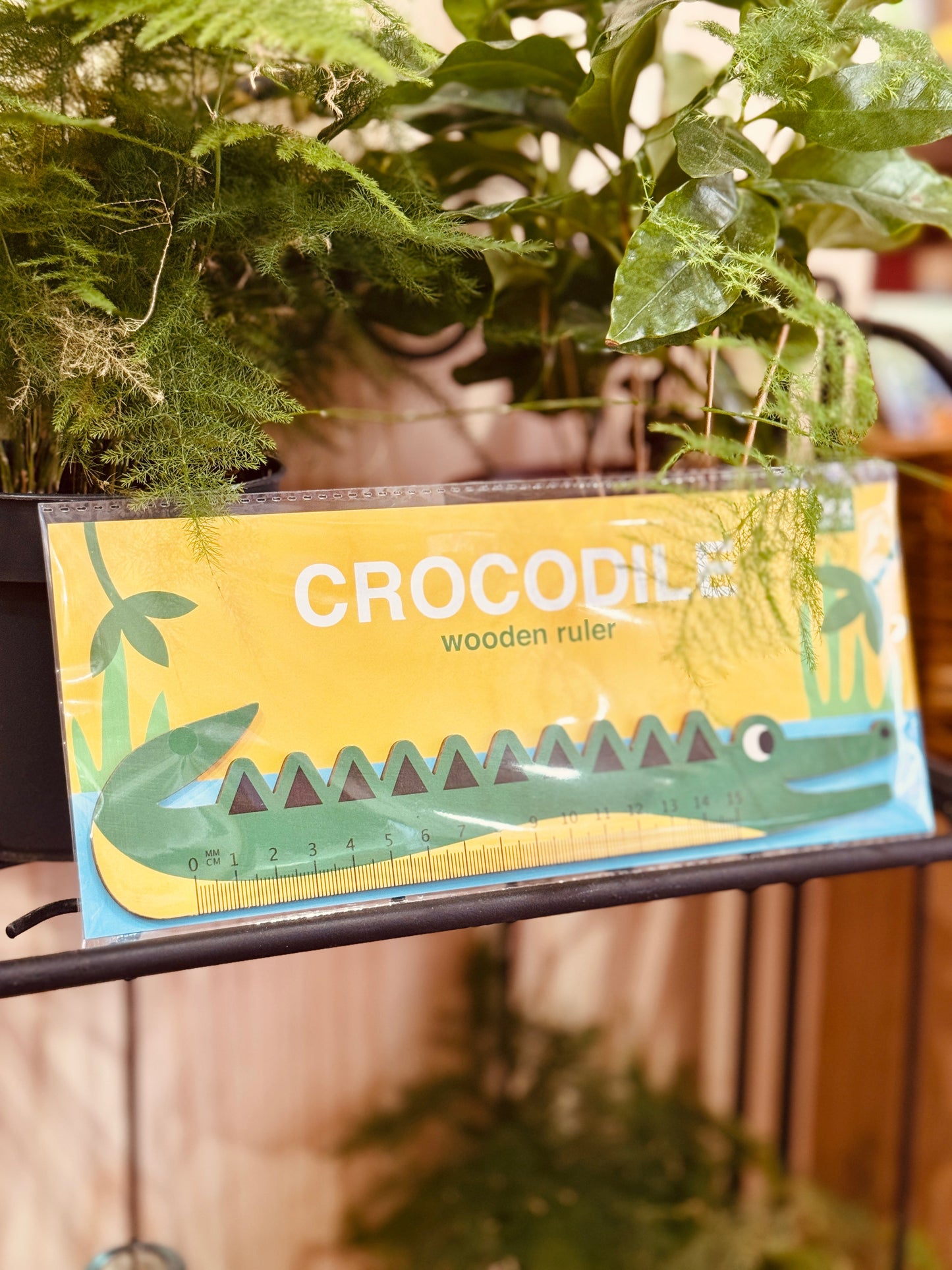 Regla de madera – Cocodrilo Les Trouvailles de Tolède