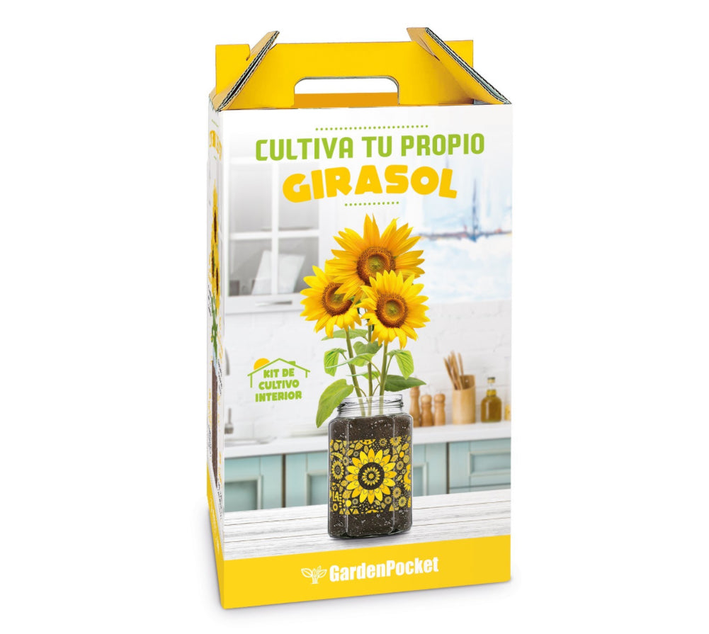 KIT DE CULTIVO INTERIOR GIRASOL Les Trouvailles de Tolède