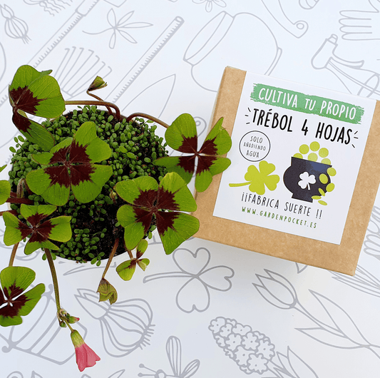 Kits de culture – Choisissez votre plante préférée !