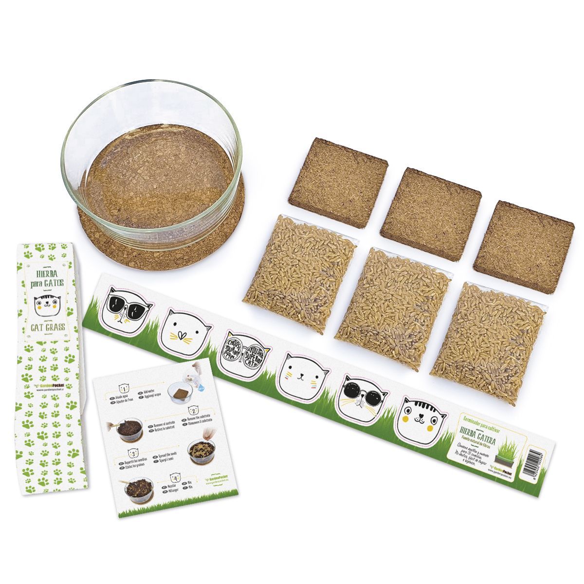 Hierba Gatera – Cat Grass Les Trouvailles de Tolède
