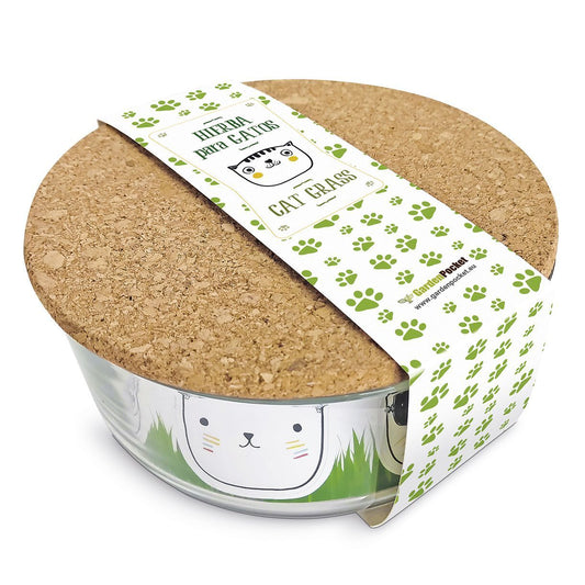Hierba Gatera – Cat Grass Les Trouvailles de Tolède