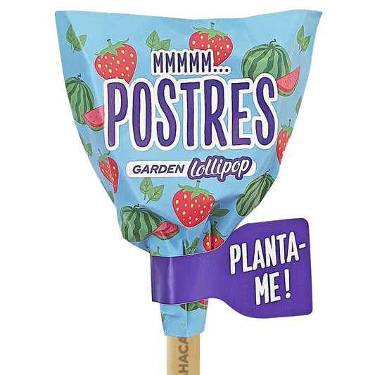 Postres Lollipop Les Trouvailles de Tolède