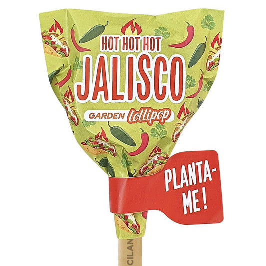 Jalisco Lollipop Les Trouvailles de Tolède