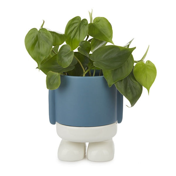 Maceta Mr.Standy azul Les Trouvailles de Tolède