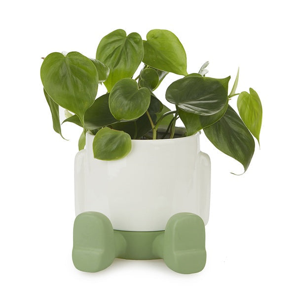 Maceta Mr.Sitty verde Les Trouvailles de Tolède