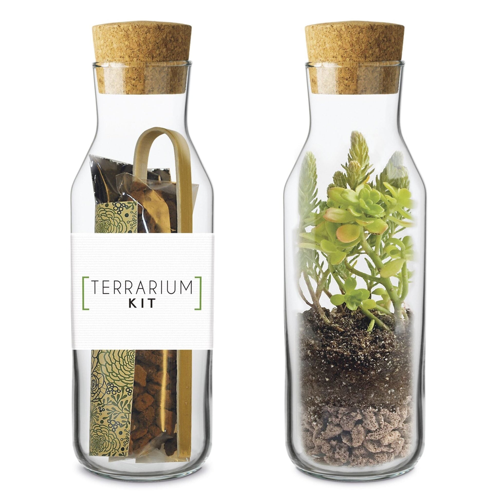 Kit TERRARIUM Vertical Les Trouvailles de Tolède