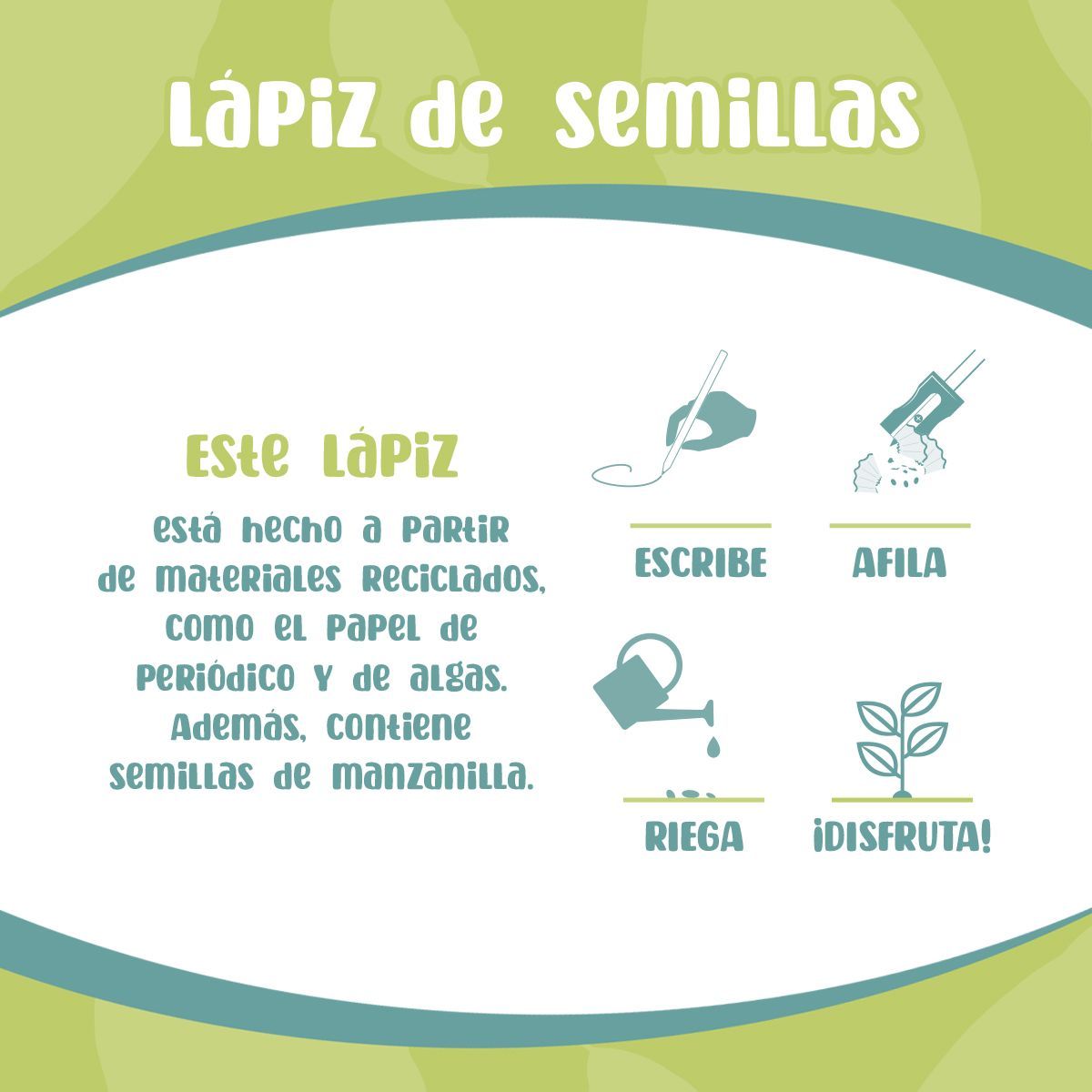 Lápiz con Semillas – Escribe, Planta y Cultiva Les Trouvailles de Tolède