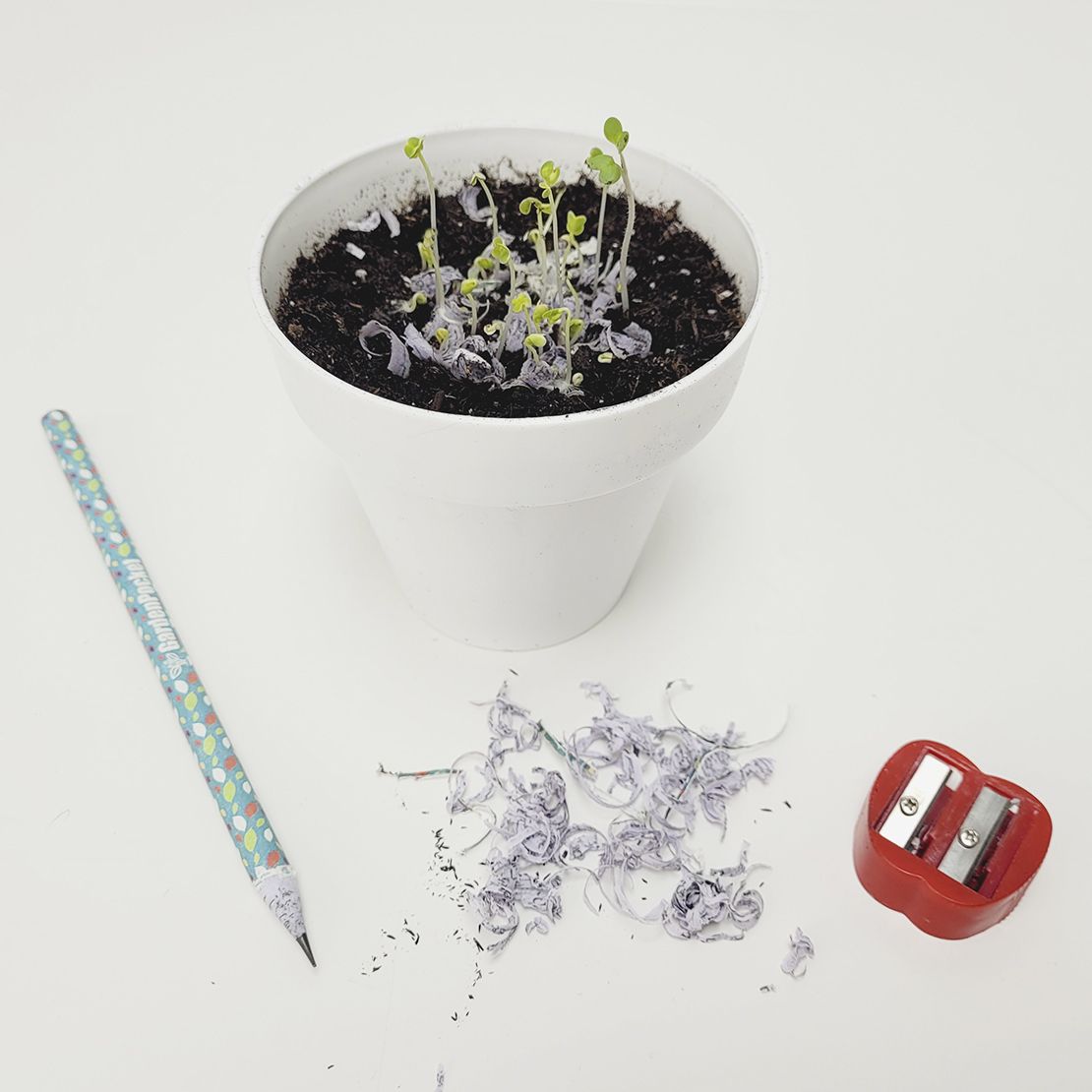 Lápiz con Semillas – Escribe, Planta y Cultiva Les Trouvailles de Tolède