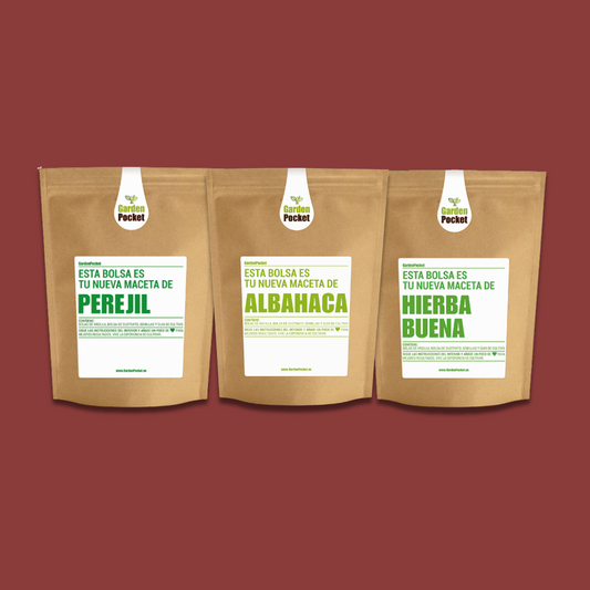 Kit de Cultivo de Hierbas Aromáticas – ¡Elige tu favorita! Les Trouvailles de Tolède