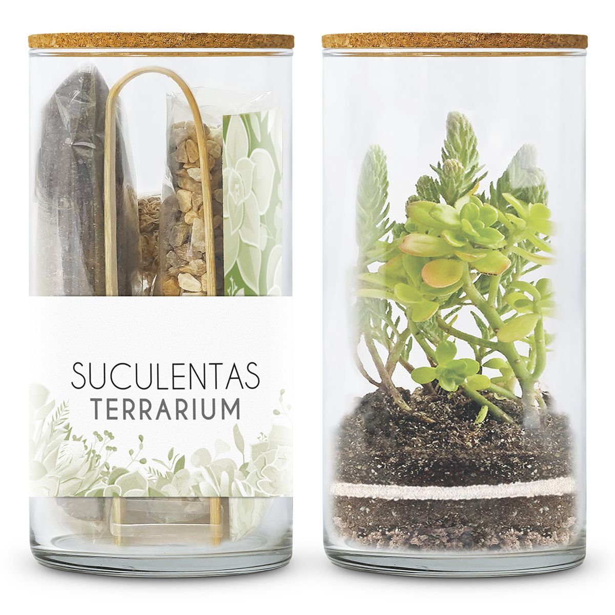 Kit TERRARIUM Suculentas Les Trouvailles de Tolède