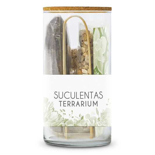 Kit TERRARIUM Suculentas Les Trouvailles de Tolède