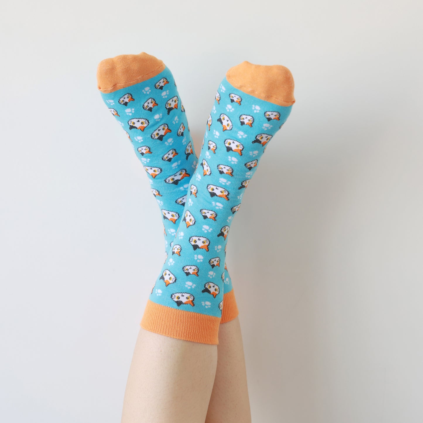 Calcetines fantasía – Gatitos