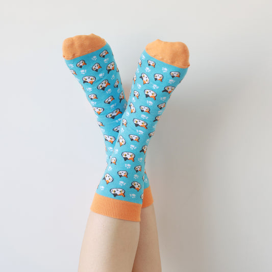 Calcetines fantasía – Gatitos