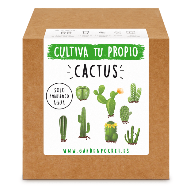 Kits de cultivo – Cactus Les Trouvailles de Tolède